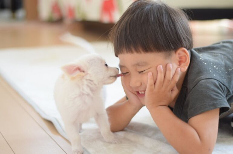 220117  犬と子供
